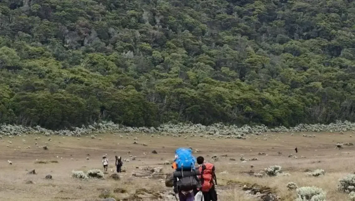 Mount Gede Closes All Hiking Trails After Wildfire