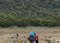 Mount Gede Closes All Hiking Trails After Wildfire