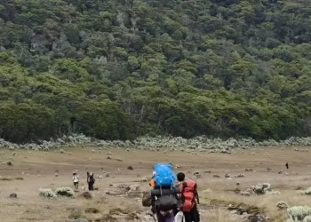 Mount Gede Closes All Hiking Trails After Wildfire