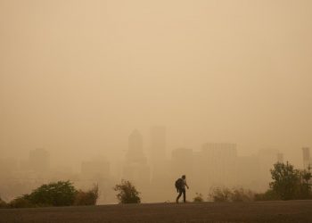 Photo: AdobeStock