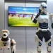 Humanoid Robot Mornine and Robot Dog Argos Now Sold in Indonesia