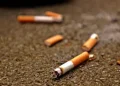 Malaysia Jails Indonesian Man Over Cigarette Butt Littering Offense