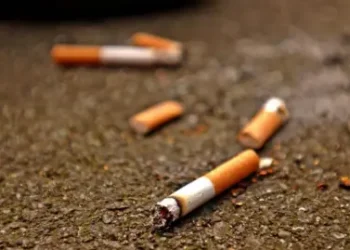 Malaysia Jails Indonesian Man Over Cigarette Butt Littering Offense