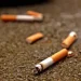 Malaysia Jails Indonesian Man Over Cigarette Butt Littering Offense