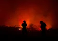 Jakarta Records 457 Fires in July-August, West Jakarta Most Affected