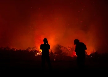 Jakarta Records 457 Fires in July-August, West Jakarta Most Affected