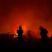 Jakarta Records 457 Fires in July-August, West Jakarta Most Affected