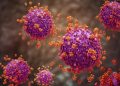 Influenza Cases Rise in Indonesia, H1N1 PDM09 Dominates in 2026