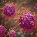 Influenza Cases Rise in Indonesia, H1N1 PDM09 Dominates in 2026
