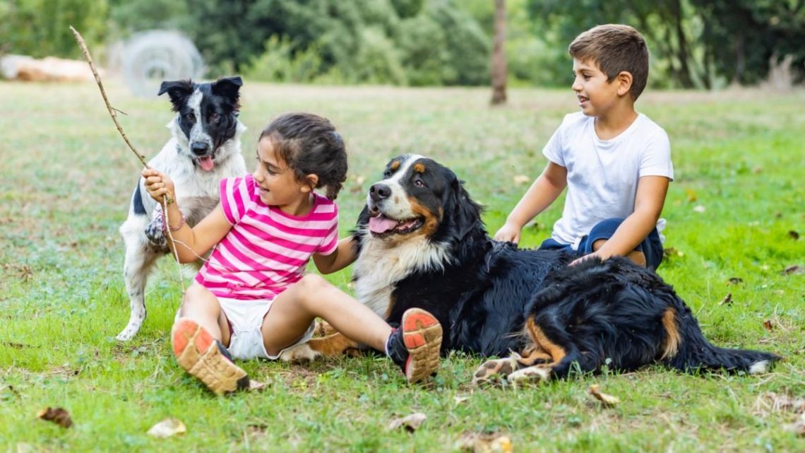 5 Pet-Friendly Places in Jakarta to Take Your Pets This Weekend