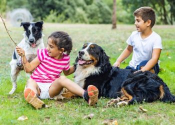 5 Pet-Friendly Places in Jakarta to Take Your Pets This Weekend