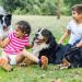 5 Pet-Friendly Places in Jakarta to Take Your Pets This Weekend