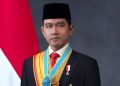 What Happens If Gibran Is Disqualified as Vice President?