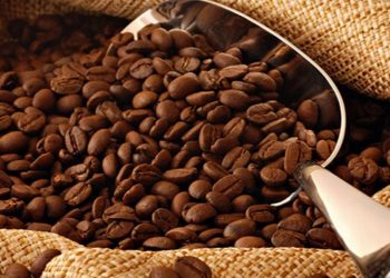 Aceh’s Gayo Coffee Ranks No. 1 in Asia, Fifth Globally