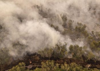 Wildfire Nears Palangka Raya City Hall as Smoke Enters Office Buildings