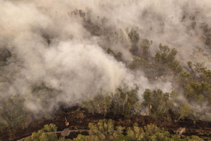 Wildfire Nears Palangka Raya City Hall as Smoke Enters Office Buildings