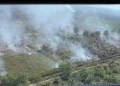 Haze Thickens in Balikpapan as Forest Fires Spread Across Kalimantan