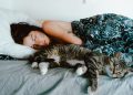 Is It Safe to Sleep With Your Cat Every Night?