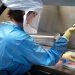 Irkutsk Residents Remain Calm After Lab Worker Dies of Unknown Pneumonia