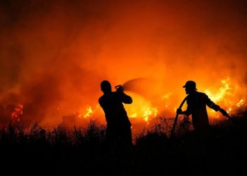 Indonesia Rejects National Disaster Status for Forest Fires, Citing Response Capacity