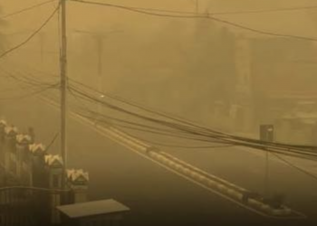 Central Kalimantan Skies Turn Yellow as Wildfire Smoke Pushes Air Quality to Dangerous Levels