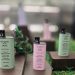 VITABON Launches Flower Series in Indonesia With Three Floral Scents