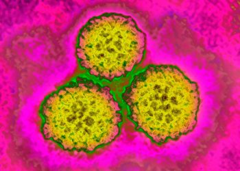 12% of Global Cancer Cases Linked to Infections, Study Finds