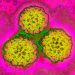 12% of Global Cancer Cases Linked to Infections, Study Finds
