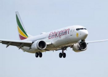 Israel Denies Ethiopian Airlines Cargo Plane Landing Over Indonesian Pilot
