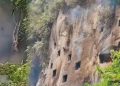 Wildfire Burns Ancient Stone Graves in South Sulawesi, Suspect Escapes