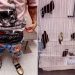 Man Arrested in Miami for Allegedly Smuggling 10 Birds in His Underwear