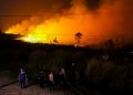 Indonesia Records 314,124 Respiratory Infection Cases Linked to Wildfires, Including 70,890 Toddlers