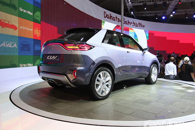 IIMS 2013 Photo 10