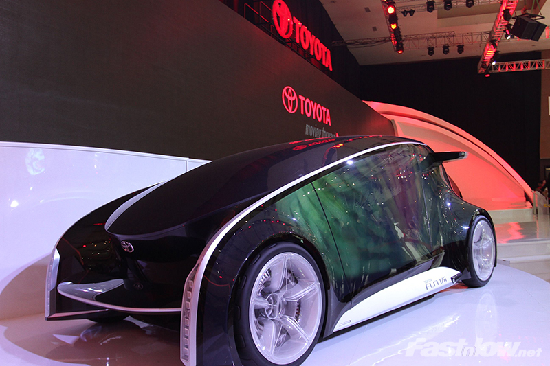 IIMS 2013 photo 8