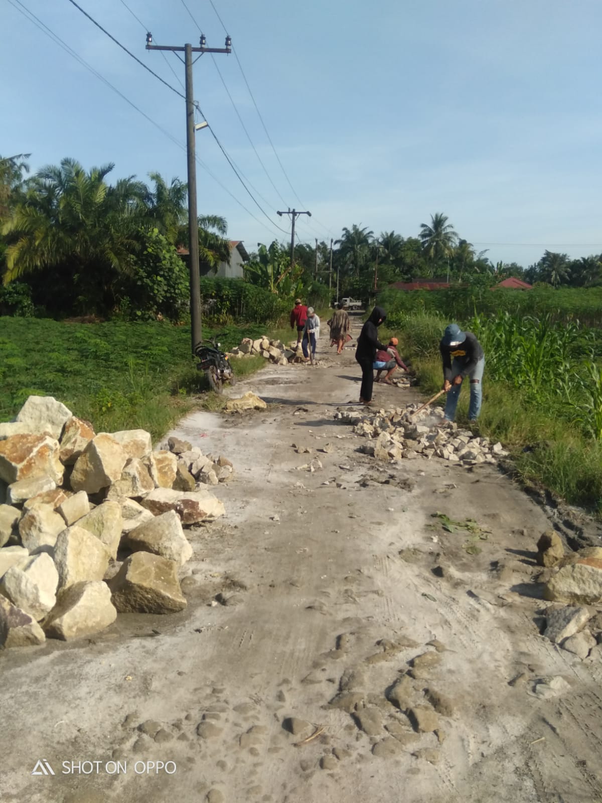 Sejumlah pemuda dan pemudi Dusun Pining II, Desa Bosar Galugur, Kecamatan Tanah Jawa, Kabupaten Simalungun perbaiki jalan rusak.