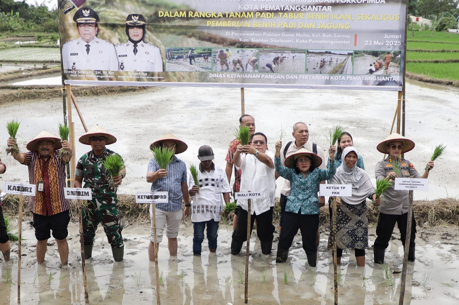 Walikota Wesly Silalahi dalam acara tanam padi serentak di lahan persawahan Blok 3, Kelurahan Bah Sorma, Kecamatan Siantar Sitalasari, Jumat (23/05/2025). ist