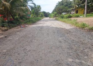 15 Tahun Tidak Tersentuh Pembangunan, Jalan di Sambosar Raya Babak Belur