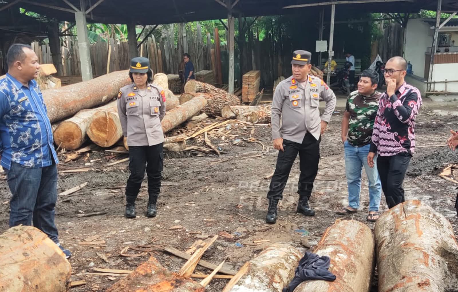 Aktifitas sawmil dikeluhkan warga, Camat dan Polisi turun tangan. ist