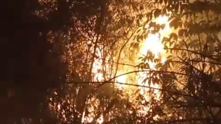 Tangkapan layar lahan yang terbakar. ist