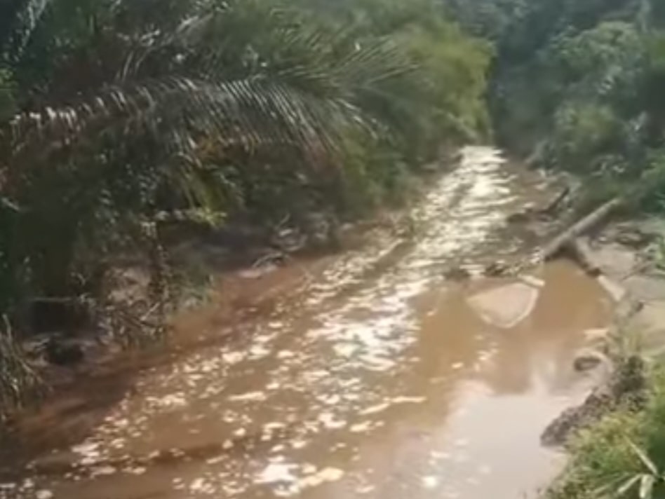 Limbah PT TSP Diduga Cemari Sungai Basungbu.