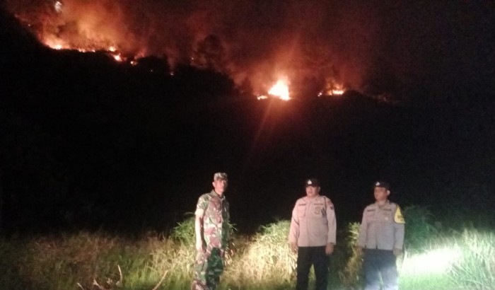 Bukit Sihorbo Haranggaol terbakar.