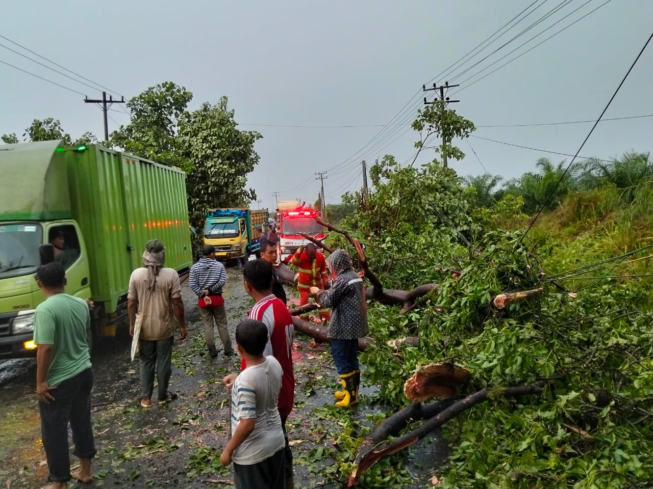 Toyota Innova Ringsek Dihantam Pohon Tumbang di Jalan Asahan, Penumpang Syok Toyota Innova Ringsek Dihantam Pohon Tumbang di Jalan Asahan, Penumpang Syok