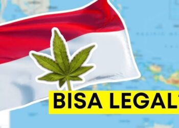 Ganja Medis