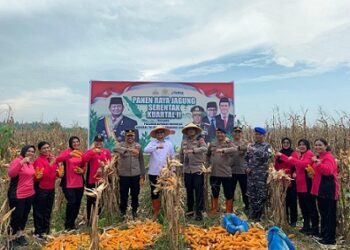 Wakil Wali Kota Tanjungbalai, Muhammad Fadly Abdina, Kapolres AKBP AKBP Yon Edi Winara dan jajaran Forkopimda Tanjungbalai atau mewakili mengikuti Panen Raya Nasional Jagung Serentak Kuartal II tahun 2025 via Zoom Meeting