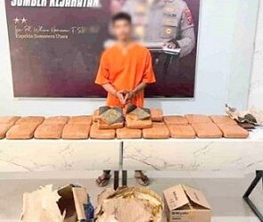 Pelaku SM yang ditangkap polisi hendak mengirimkan 25 kg daun ganja kering. (Foto Ist)