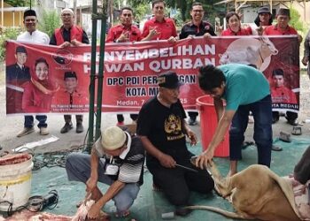 Ketua DPC PDI Perjuangan Kota Medan, Hasyim SE didampingi Paul Mei Anton Simanjuntak yang juga anggota DPRD Medan bersama pengurus saat menyalurkan hewan kurban di Masjid Bustanul Ulum, Jln Pelita IV, Medan Perjuangan. (Foto Ist)
