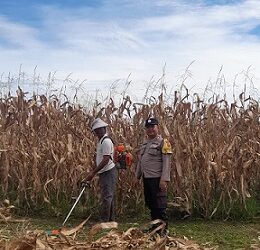 Bhabinkamtibmas Kelurahan Simarimbun Bripka Johannes Siregar sambangi Bapak Ramot Silitonga