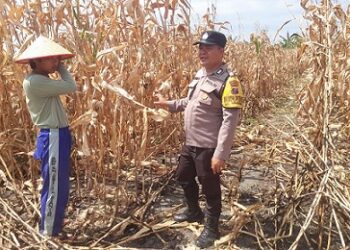 Bhabinkamtibmas Kelurahan Simarimbun Bripka Johannes saat sambangi warga Dimas Sigalingging yang akan tanam jagung