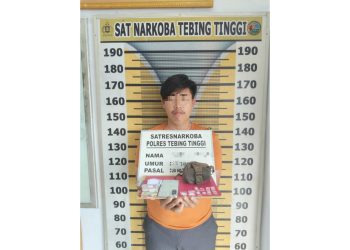 Pelaku SA dan barang bukti sudah diamankan Sat Resnarkoba Polres Tebing Tinggi