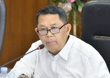 Ketua Pansus RPJMD DPRD Medan, Henry Jhon Hutagalung. (Foto Ist)